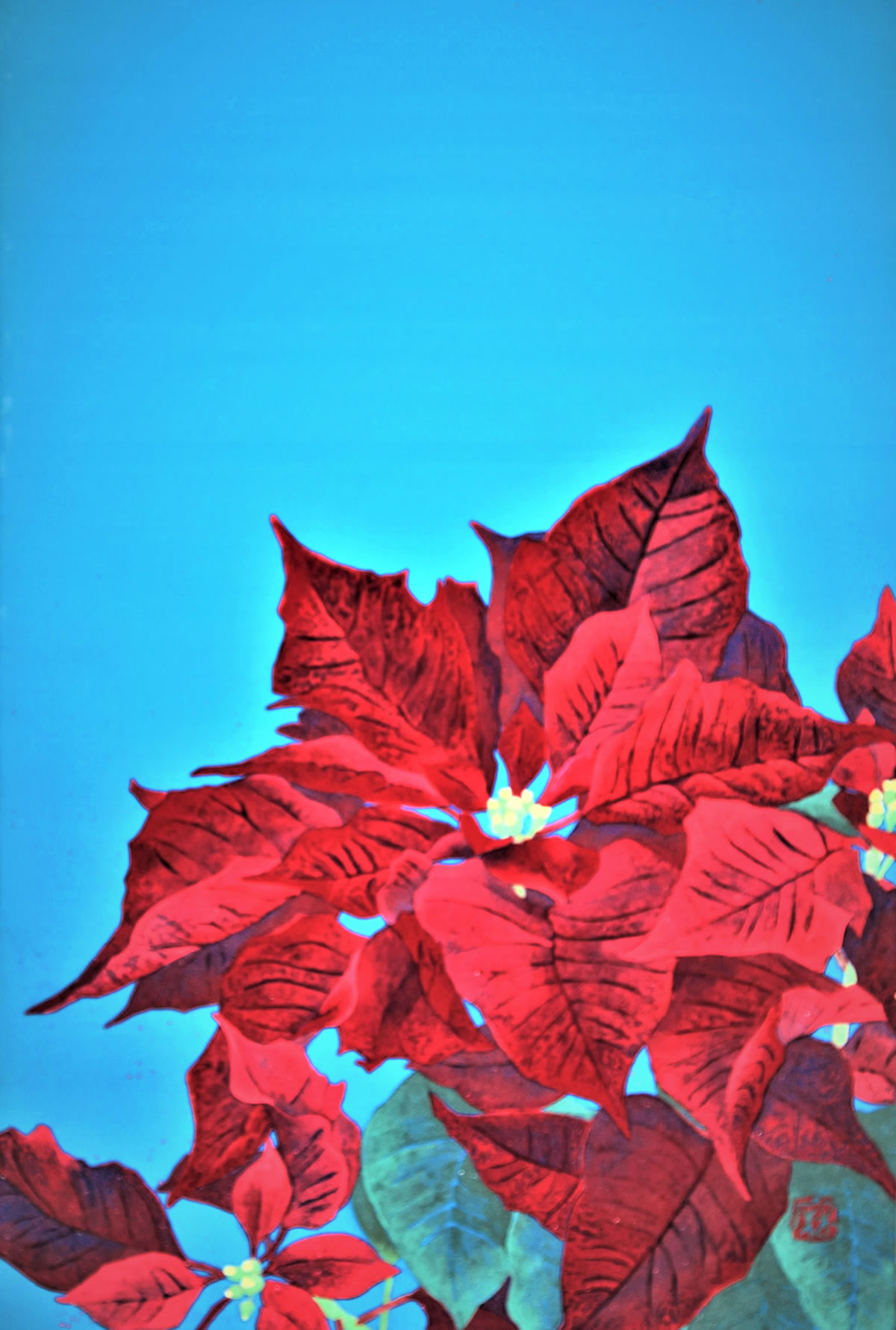 日本画家 新井まち子 作品集「花」Machiko Arai Gallery5